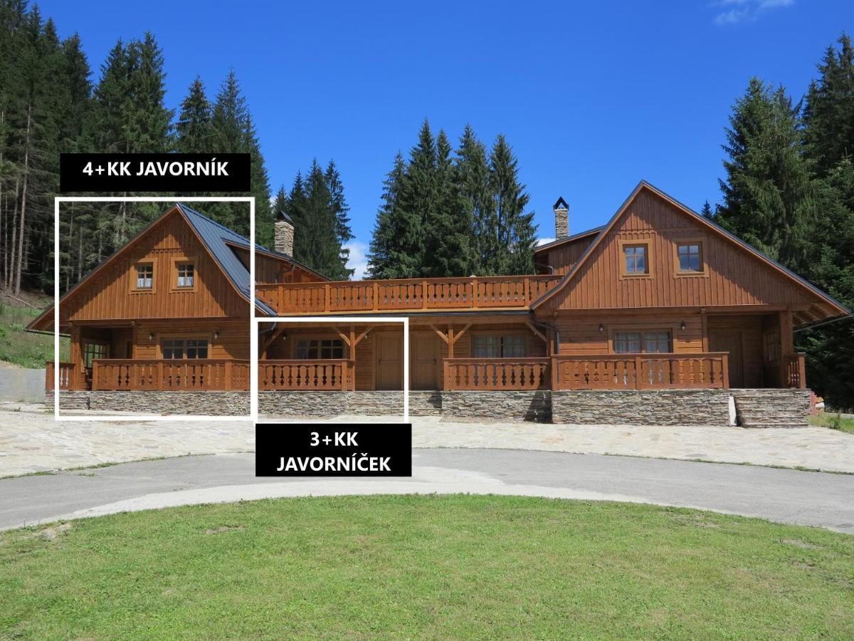 Apartamento Apartmán Javorník a Javorníček Velké Karlovice Exterior foto